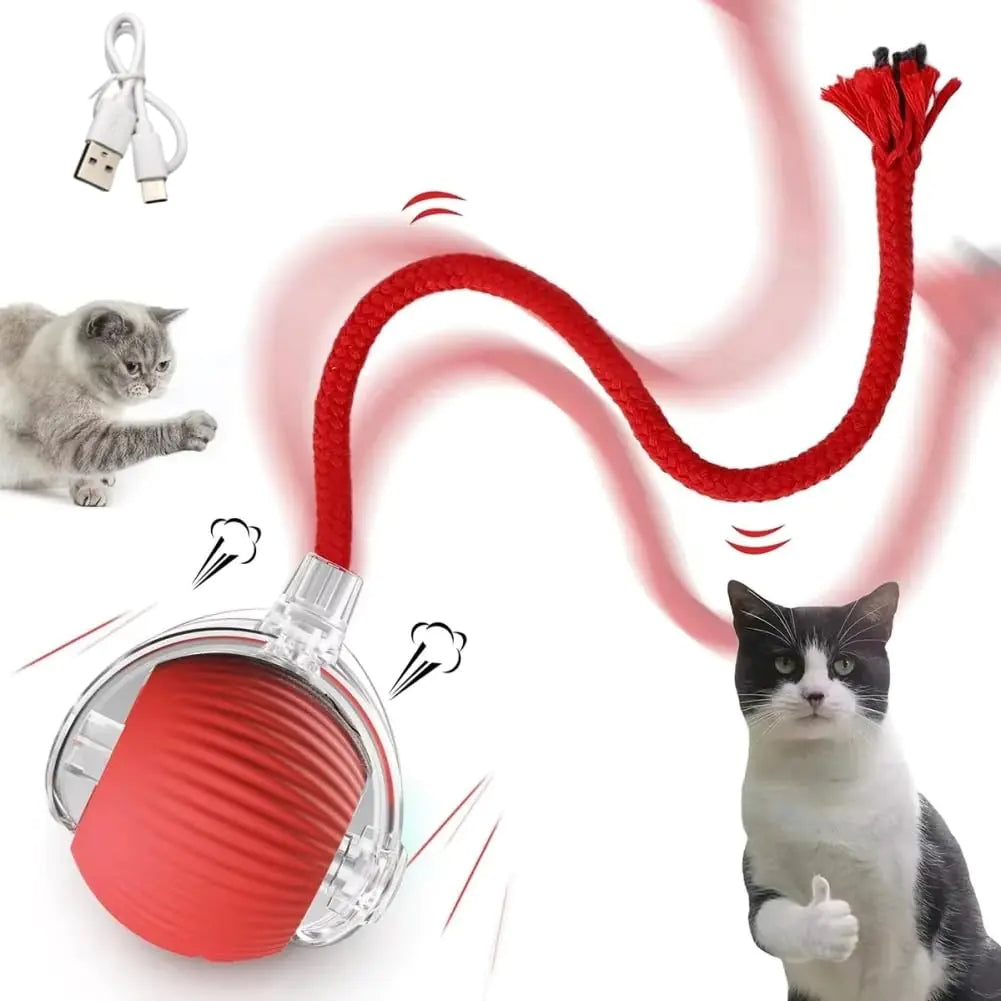NIGRITY Interactive Rolling Cat Toy